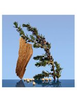 Ck be calvin klein - perfume unissex - eau de toilette