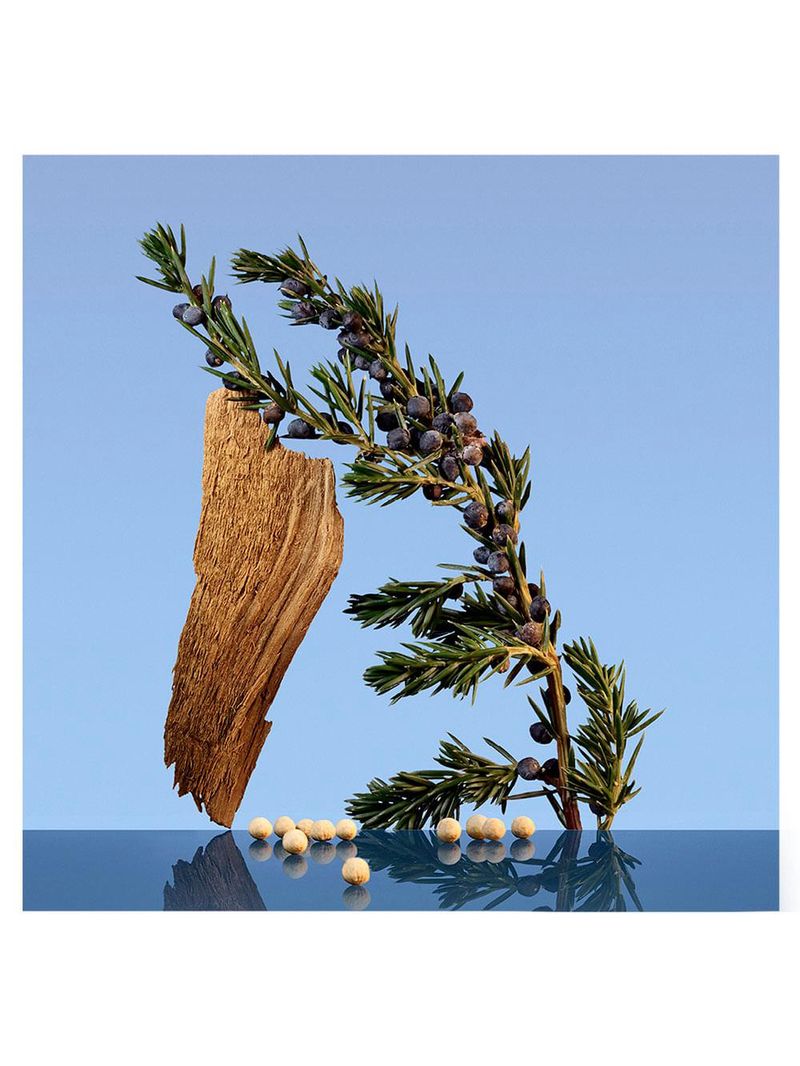 Ck be calvin klein - perfume unissex - eau de toilette