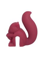 Jogo de marcador de taça home style esquilos