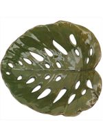 Adorno cerâmica verde folha parreiral - nh
