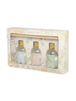Kit difusores flora 3pcs 120 ml neu home style