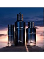 Refil sauvage dior perfume masculino edt