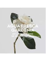 Gardenia musk adolfo dominguez - perfume feminino - eau de toilette