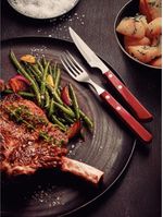 Faca churrasco inox 4 polywood vermelho tramontina