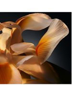 Boss bottled parfum hugo boss – perfume masculino edp