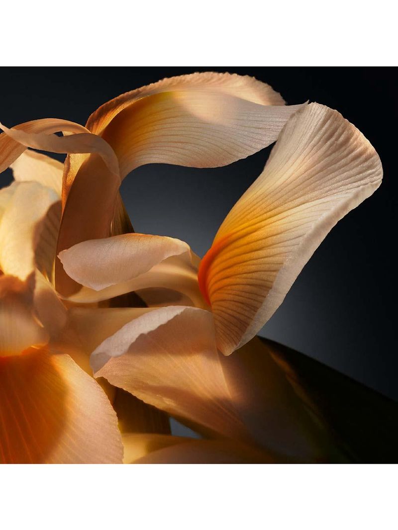 Boss bottled parfum hugo boss – perfume masculino edp