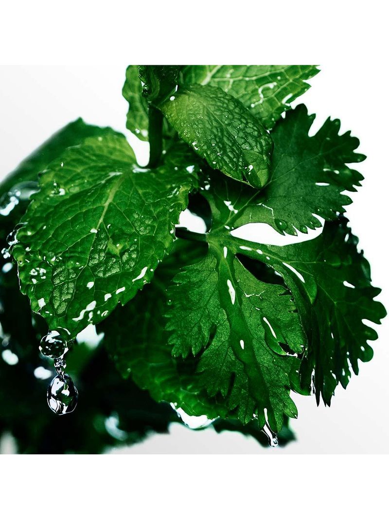 Cool water davidoff - perfume masculino - eau de toilette