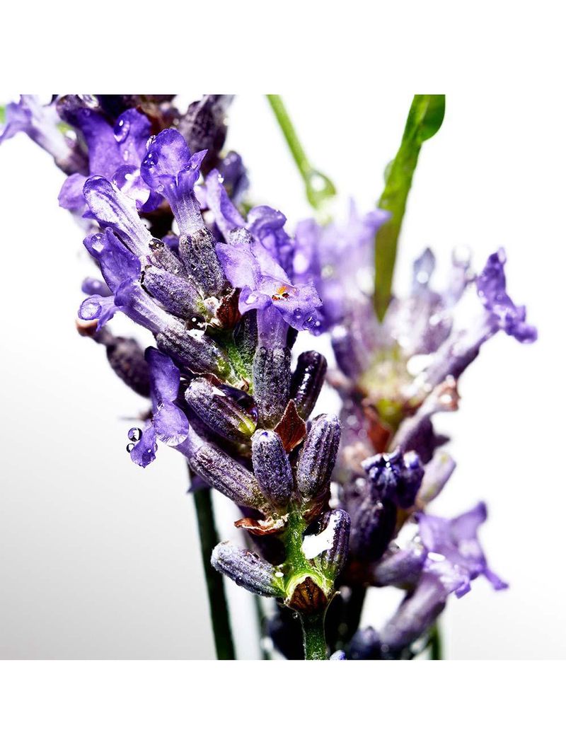 Cool water davidoff - perfume masculino - eau de toilette