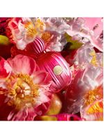 The icon banderas - perfume feminino - eau de parfum