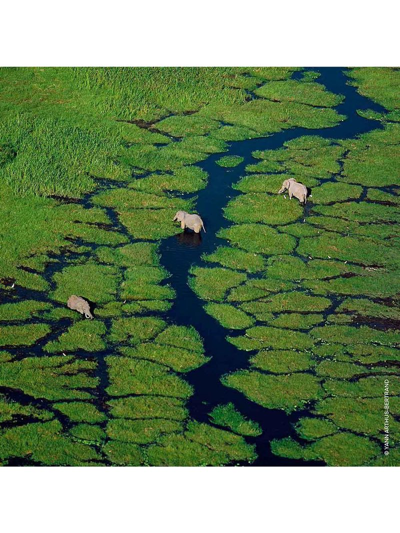 Refil aqua allegoria bergamote calabria guerlain – perfume feminino – eau de toilette