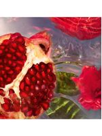 Refil aqua allegoria granada salvia guerlain – perfume feminino – eau de toilette