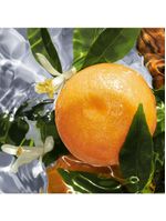 Refil aqua allegoria pamplelune guerlain – perfume feminino – eau de toilette