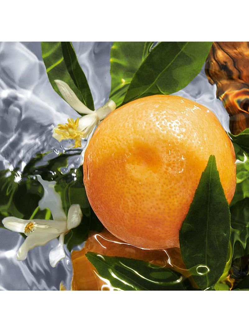 Refil aqua allegoria pamplelune guerlain – perfume feminino – eau de toilette