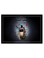 Perfume seducción magnética nº 3 victorio&lucchino masculino edt
