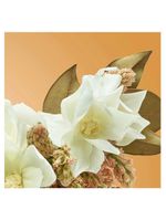 Perfume magnolia sensual nº 6 victorio&lucchino feminino edt