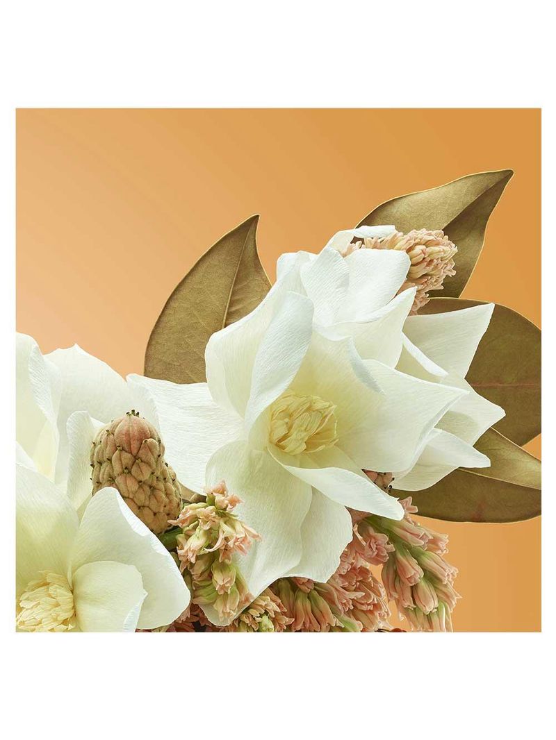 Perfume magnolia sensual nº 6 victorio&lucchino feminino edt