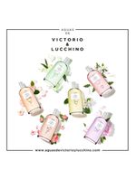 Perfume magnolia sensual nº 6 victorio&lucchino feminino edt