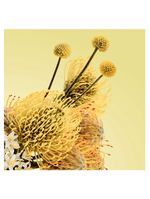 Perfume azahar radiante nº 1 victorio&lucchino feminino edt