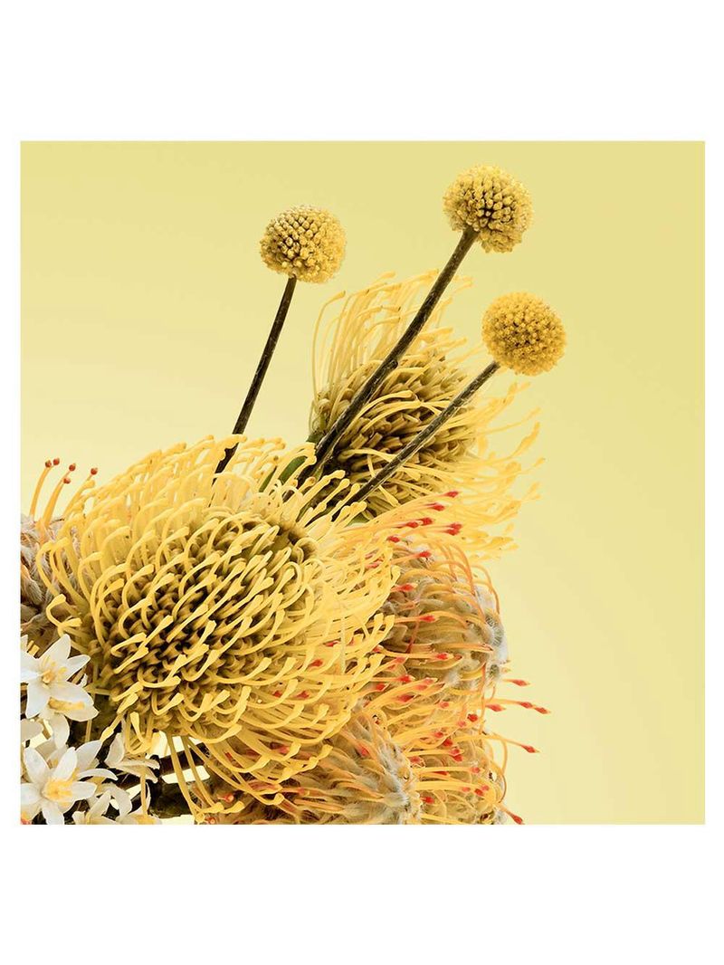 Perfume azahar radiante nº 1 victorio&lucchino feminino edt