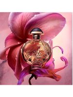 Olympéa solar rabanne – perfume feminino – eau de parfum