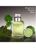 Eternity for men calvin klein - perfume masculino - eau de toilette