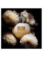 Her golden secret banderas - perfume feminino - eau de toilette