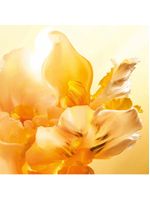 J’adore roller pearl dior perfume feminino - eau de parfum