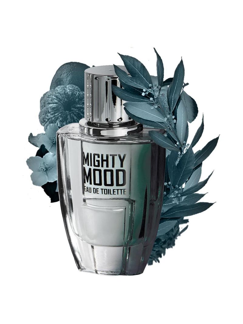 Mighty mood linn young perfume masculino - eau de toilette