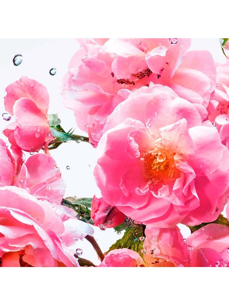 Perfume miss dior rose n’roses dior feminino eau de toilette