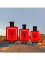 Polo red ralph lauren - perfume masculino - eau de toilette