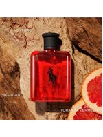 Polo red ralph lauren - perfume masculino - eau de toilette
