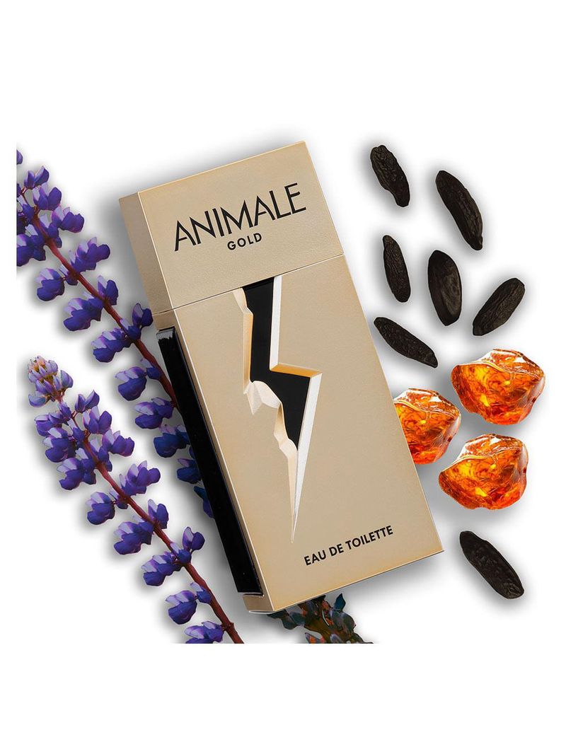 Animale gold animale - perfume masculino - edt