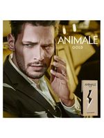 Animale gold animale - perfume masculino - edt