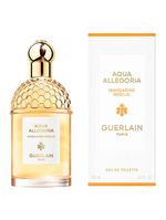 Aqua allegoria mandarine basilic guerlain – perfume feminino – eau de toilette