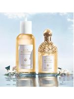 Aqua allegoria mandarine basilic guerlain – perfume feminino – eau de toilette