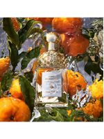 Aqua allegoria mandarine basilic guerlain – perfume feminino – eau de toilette