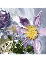 Aqua allegoria flora salvaggia guerlain – perfume feminino – eau de toilette