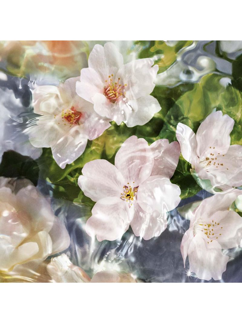 Aqua allegoria flora cherrysia guerlain – perfume feminino – eau de toilette