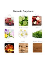 Essenza tonino lamborghini – perfume masculino – eau de toilette