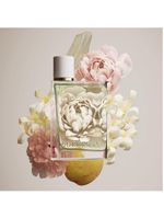 Her burberry perfume feminino edt