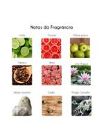 Millennial dynamic tonino lamborghini – perfume masculino – eau de toilette