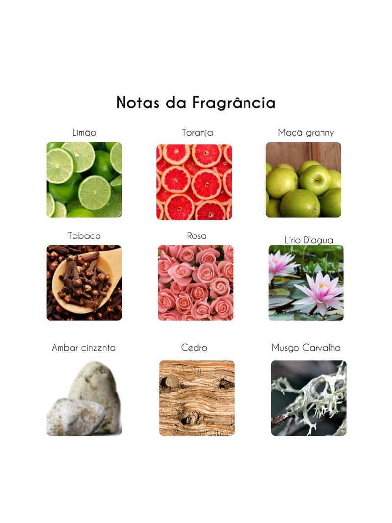 Millennial dynamic tonino lamborghini – perfume masculino – eau de toilette