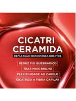 Elseve kit - Óleo extraordinário + cicatri renov leave-in