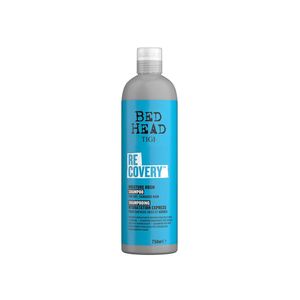 Bed head tigi recovery shampoo