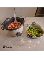 Panela De Arroz Elétrica Gallant 10 Cups 220V (GRC10M03A-220BR)
