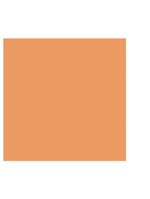 Base facial guerlain terracotta joli teint 30ml