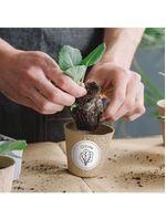 Mini impressora térmica sem fio keep - kp001