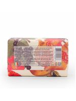 Sabonete em barra nesti dante il frutteto romã e groselha preta