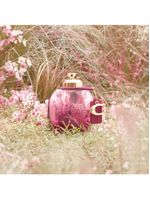 Wild rose coach – perfume feminino – eau de parfum