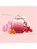 Wild rose coach – perfume feminino – eau de parfum